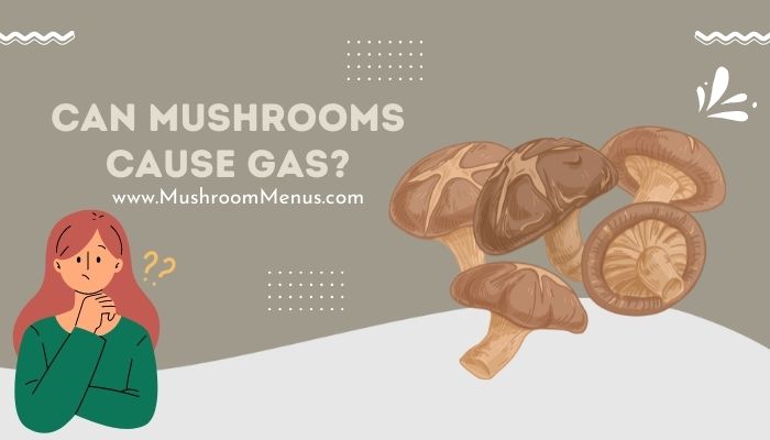 Can Mushrooms Cause Gas