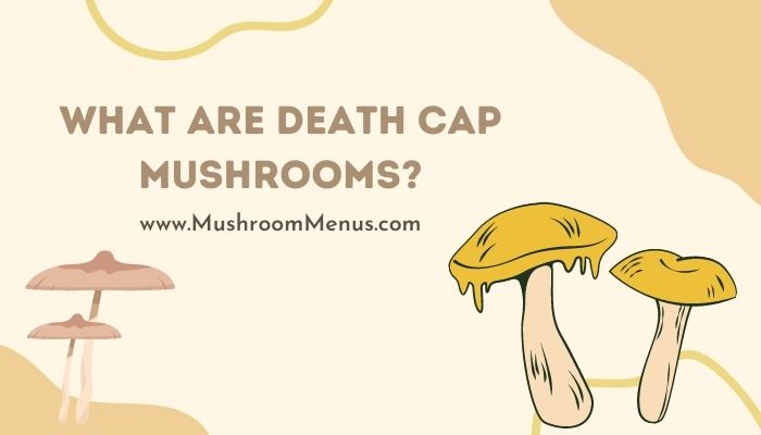 What Are Death Cap Mushrooms