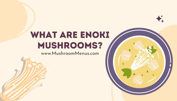 What Are Enoki Mushrooms