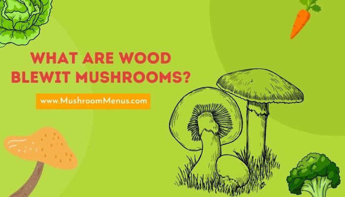What Are Wood Blewit Mushrooms