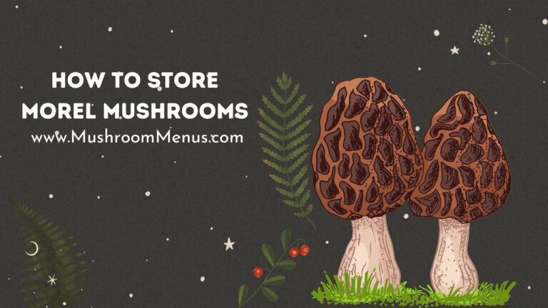 how to store morel mushrooms