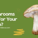 are mushrooms bad for your lawn