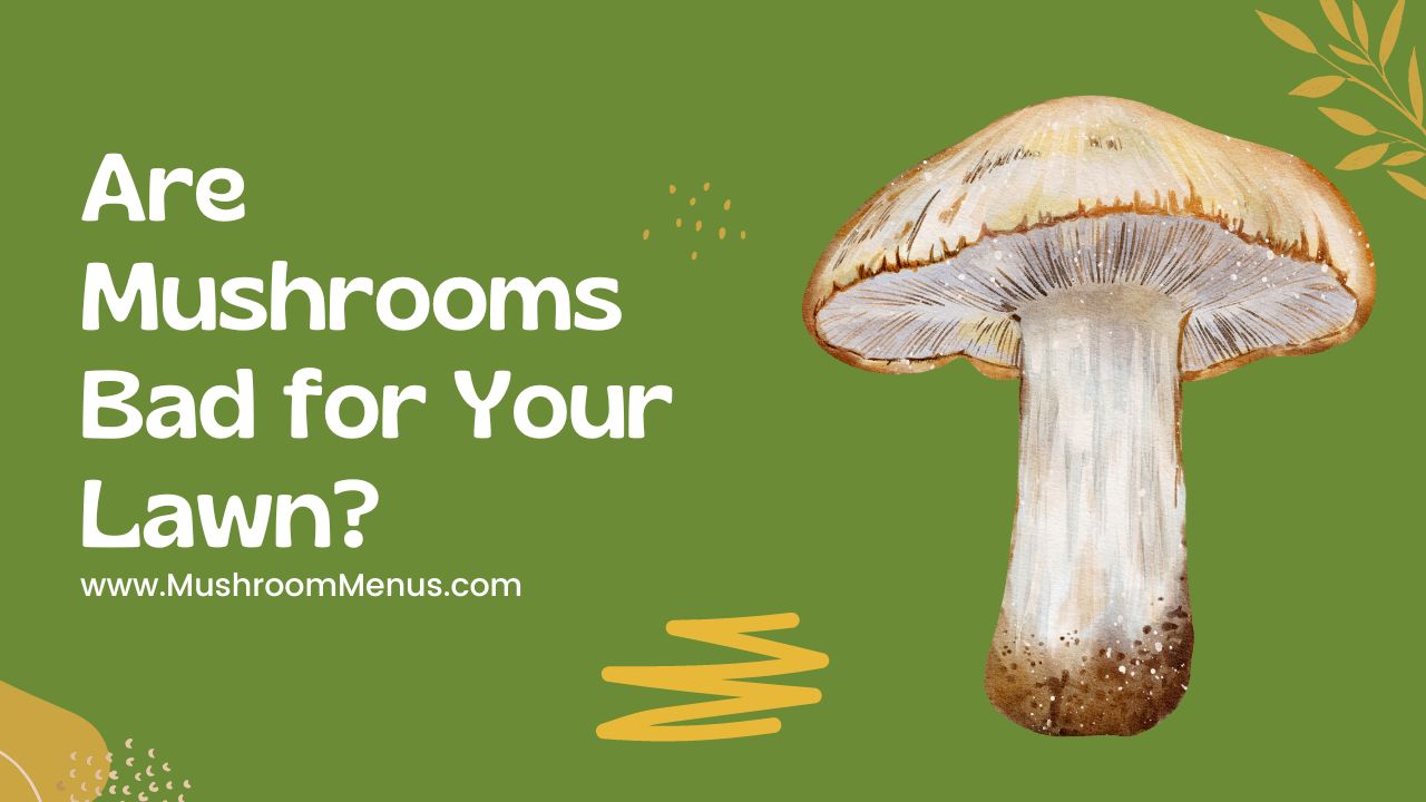 are mushrooms bad for your lawn