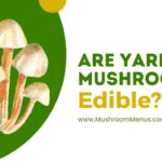 are yard mushrooms edible