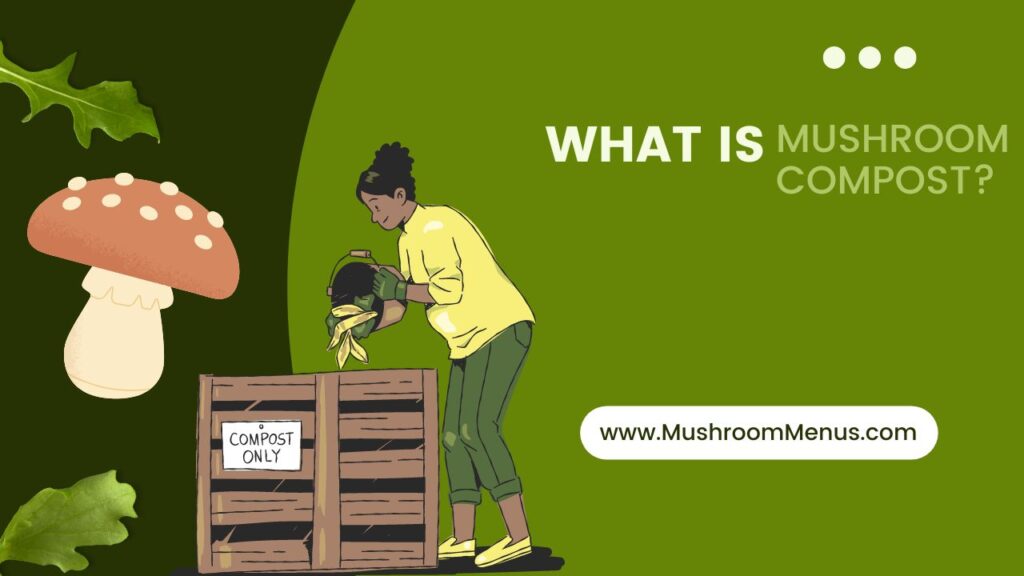 What Is Mushroom Compost Mushroommenus mushroom-compost-is-it-always-good-for-your-plants